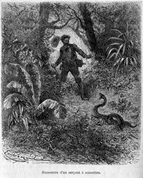 Nos ennemis, von Mangin